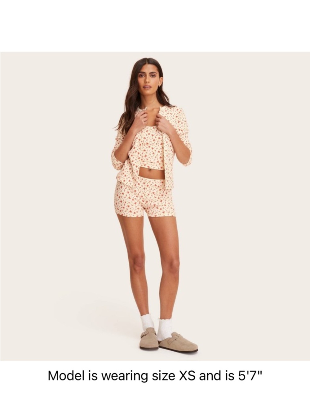 NWT PARKE TARGET POINTELLE SHORTS